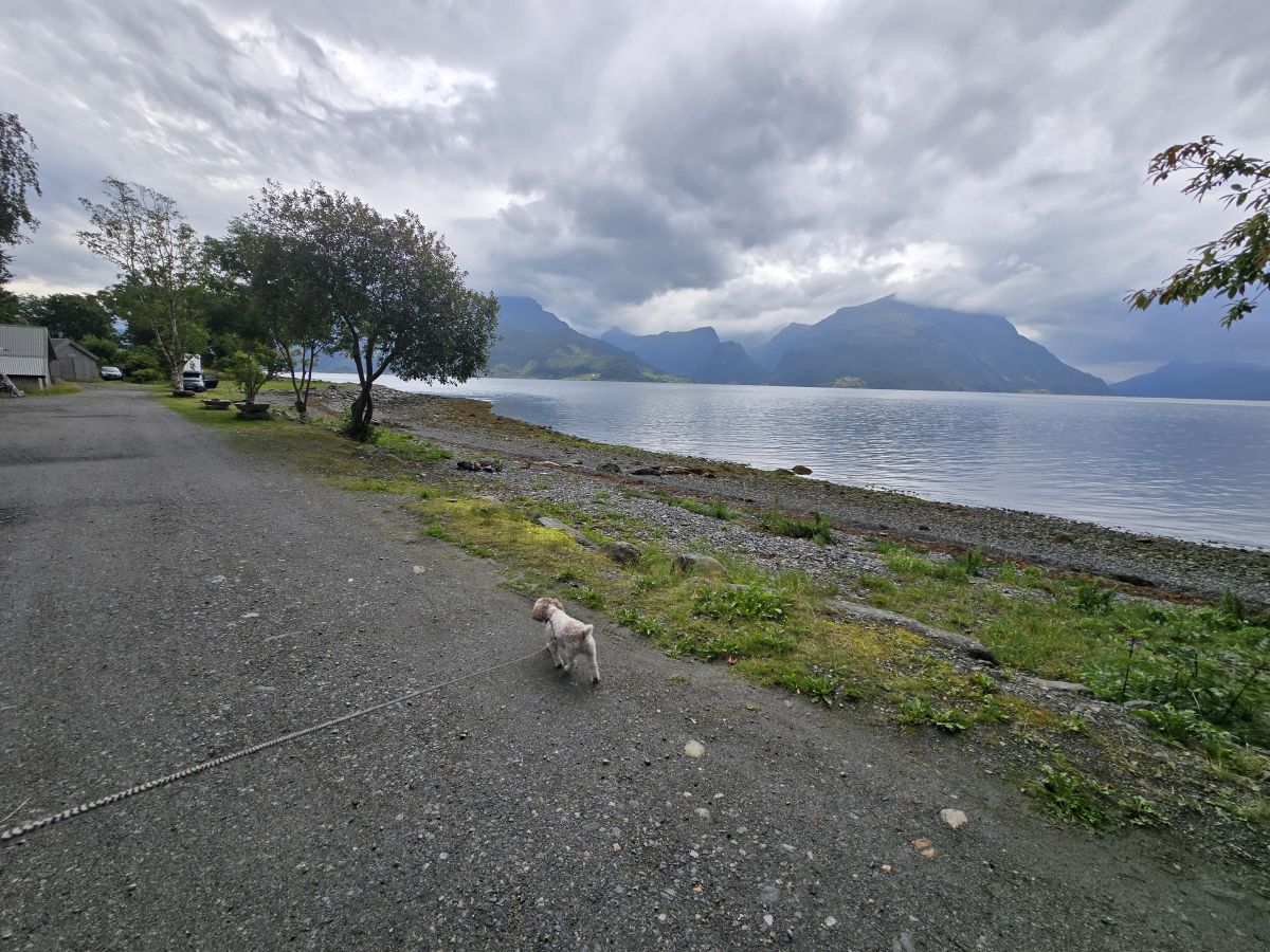 Co-pilot duty, Lote Norway