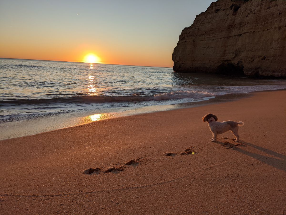Sunset Delight